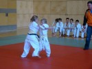judo_95.jpg