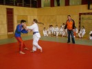 judo_110.jpg