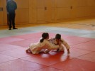 judo_41.jpg
