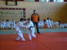 judo_50.jpg