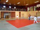 judo_80.jpg