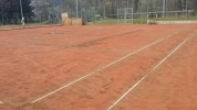 tennis2015service1_i.jpg